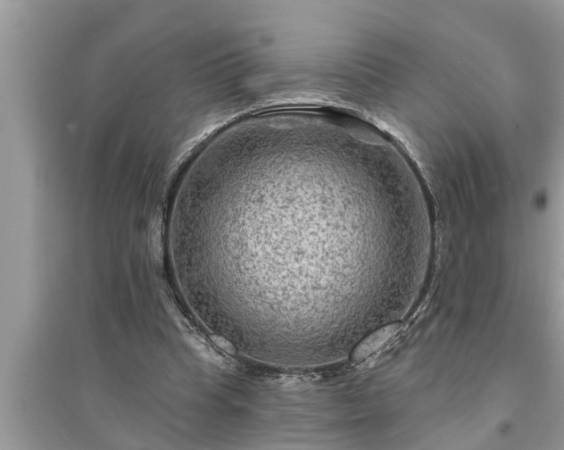 X0000095530345200712211330