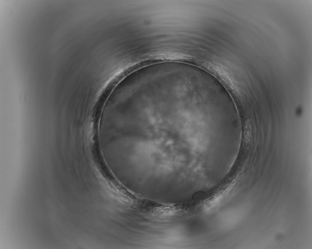 X0000095530351200712211330