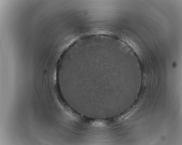 X0000095530358200712211331