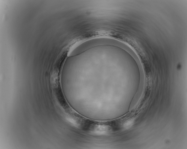 X0000095530360200712211331