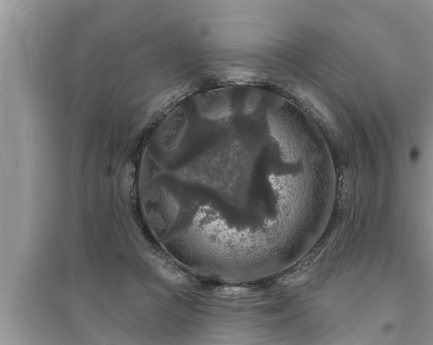 X0000095530361200712211331