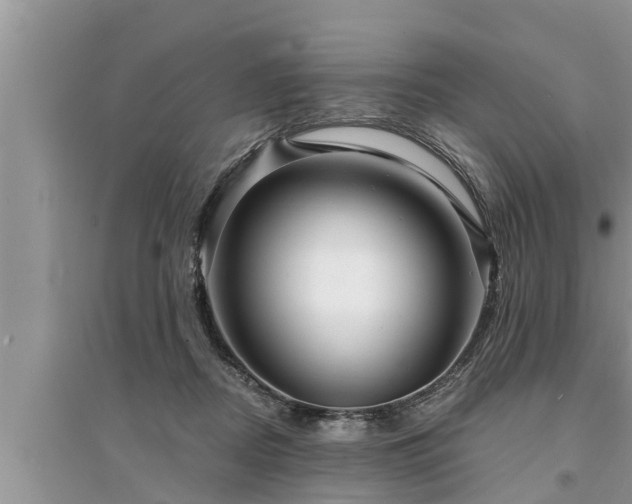 X0000095530362200712211331
