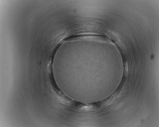 X0000095530364200712211331