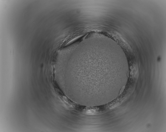 X0000095530368200712211331