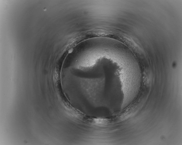 X0000095530371200712211331