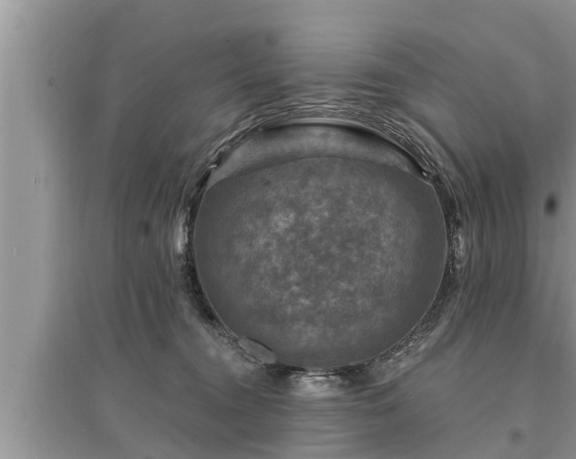 X0000095530372200712211331