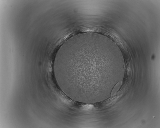 X0000095530374200712211331