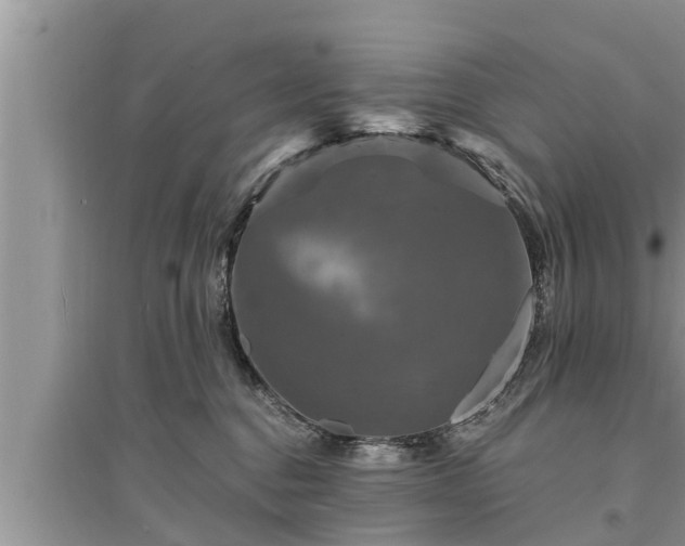 X0000095530376200712211331