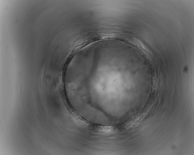 X0000095530377200712211331