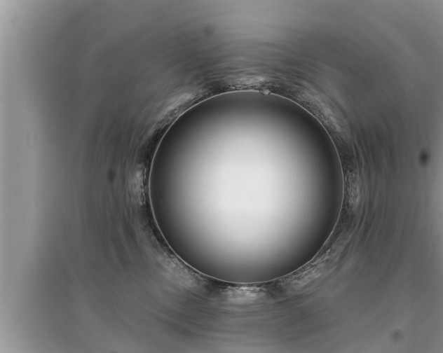 X0000095530378200712211331
