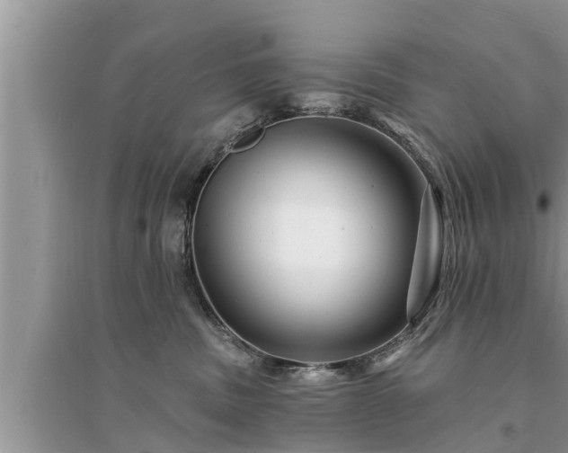 X0000095530379200712211331