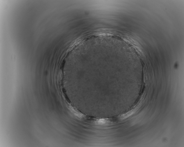 X0000095530382200712211331
