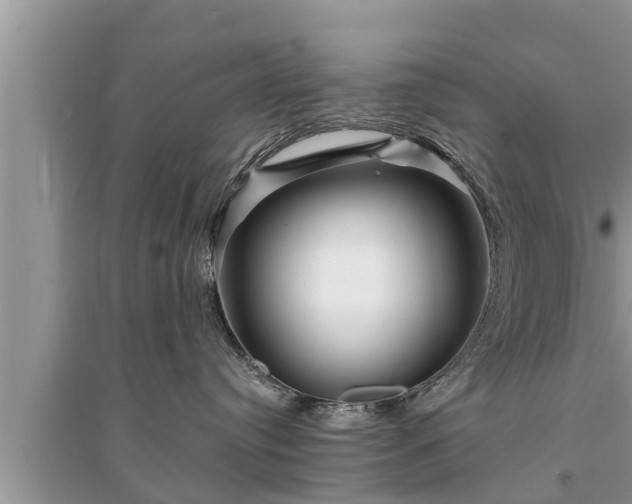 X0000095530384200712211331