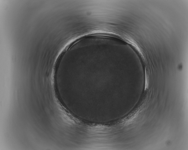 X0000095530387200712211330
