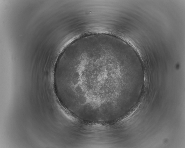 X0000095530390200712211330