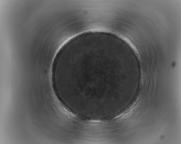 X0000095530391200712211330