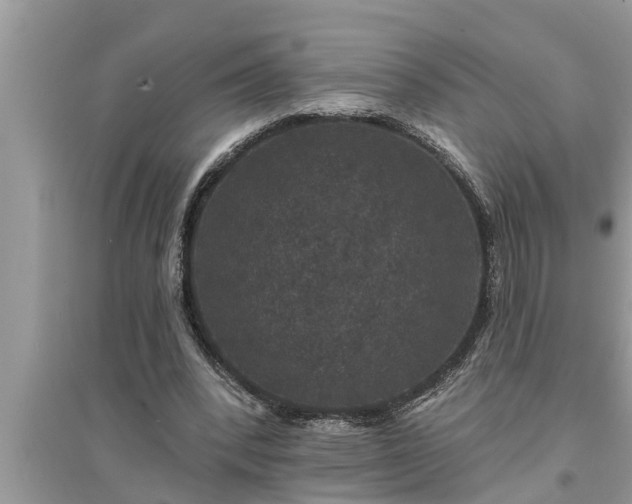 X0000095530392200712211330