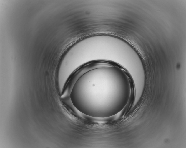X0000095530397200712211330