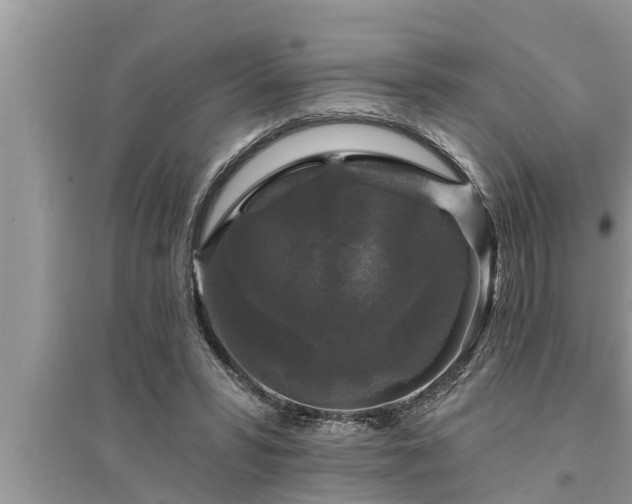 X0000095530399200712211330