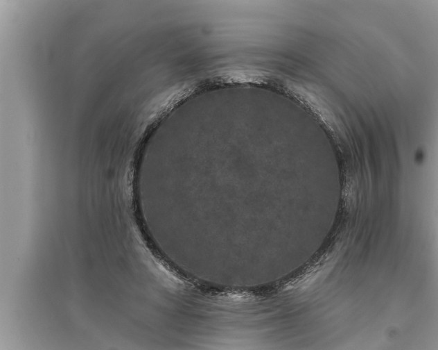 X0000095530402200712211330