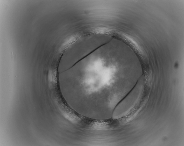 X0000095530403200712211330
