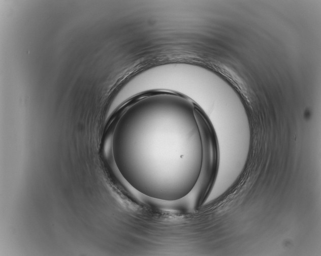 X0000095530405200712211330