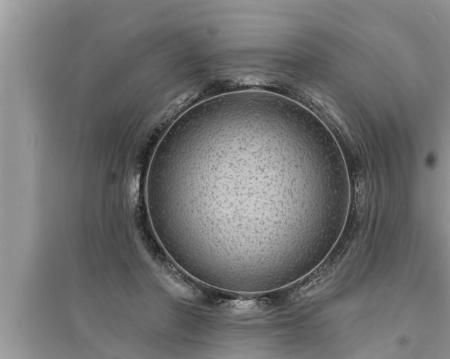 X0000095530406200712211330