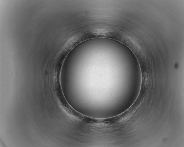 X0000095530408200712211330