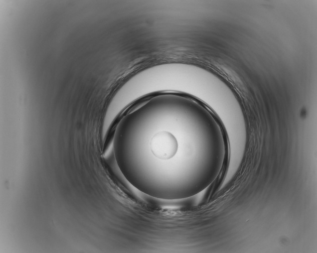 X0000095530409200712211330