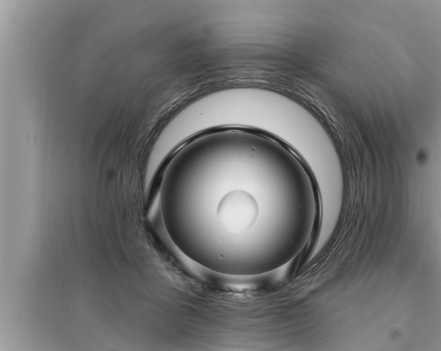X0000095530411200712211330
