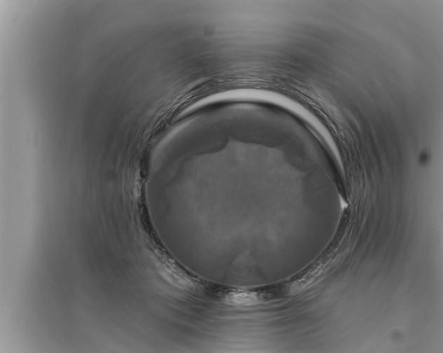 X0000095530413200712211330