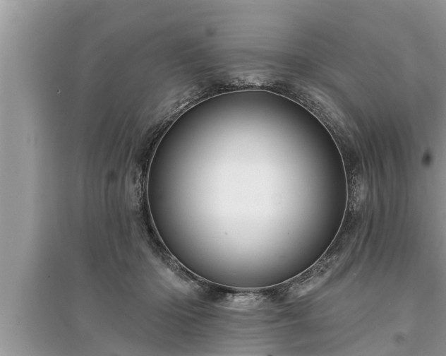 X0000095530414200712211330