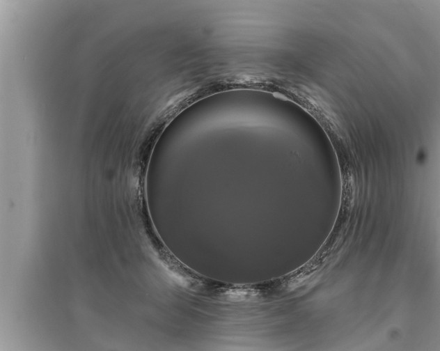 X0000095530415200712211330