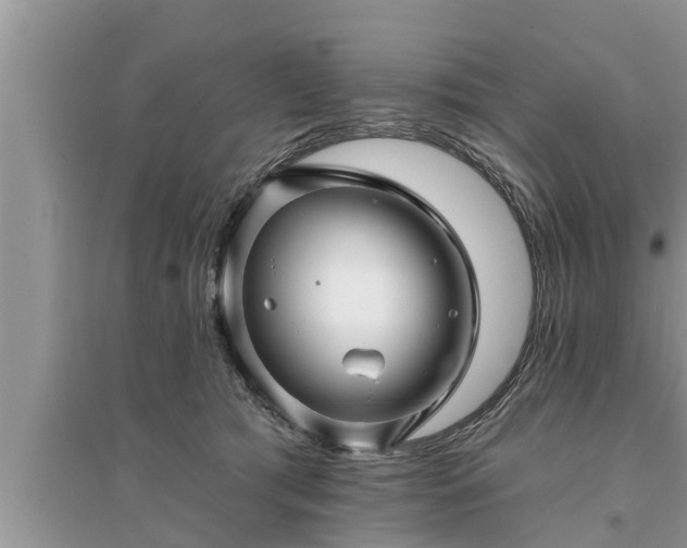 X0000095530417200712211330