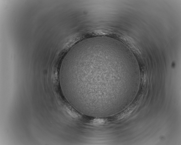 X0000095530418200712211330
