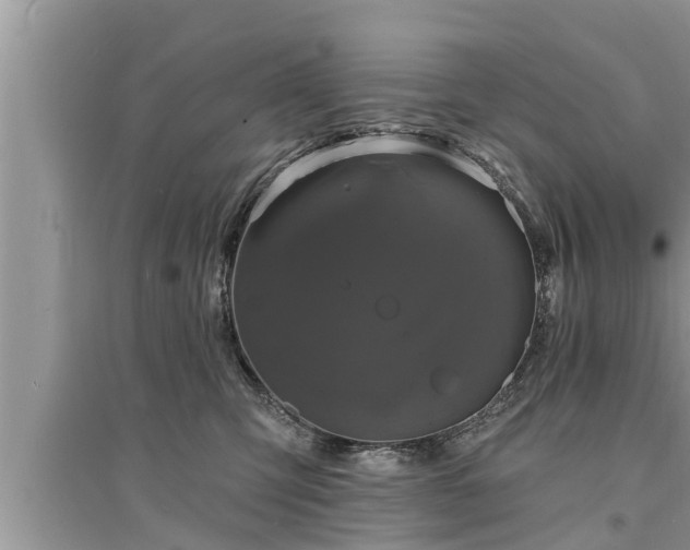 X0000095530423200712211330