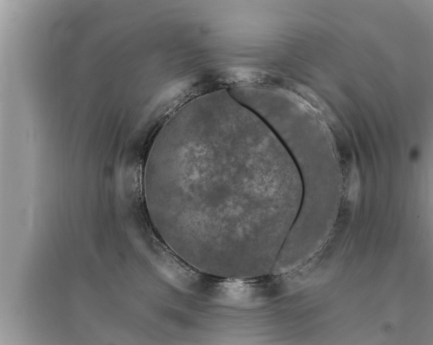 X0000095530425200712211330