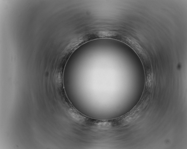 X0000095530426200712211330