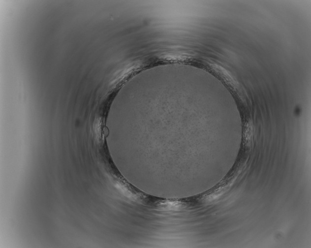X0000095530428200712211330