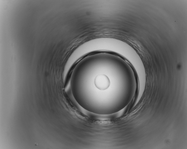 X0000095530429200712211330