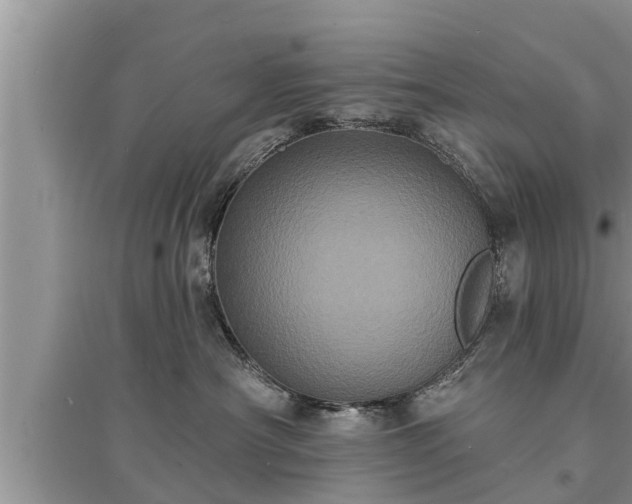 X0000095530430200712211330