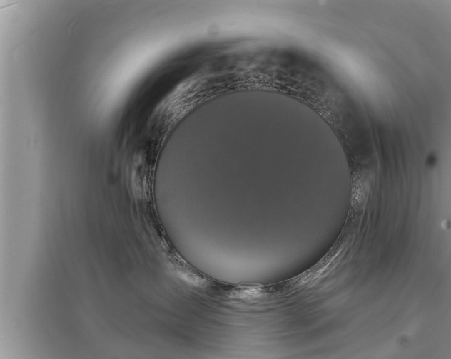 X0000095530431200712211330