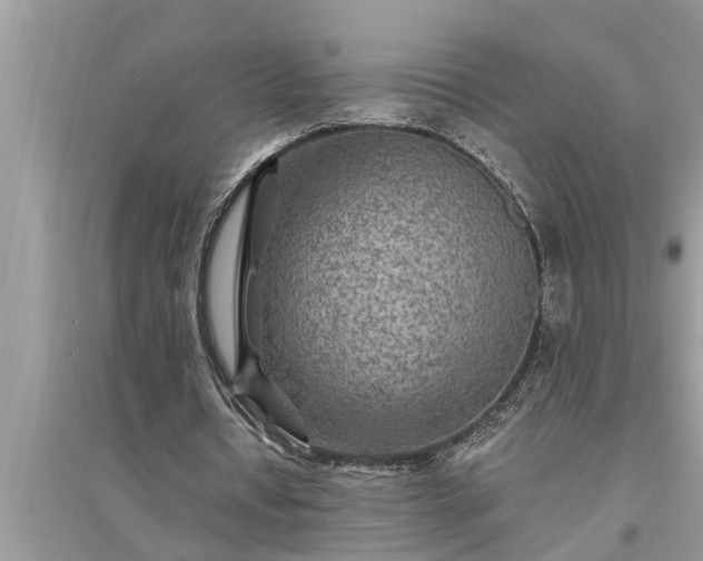 X0000095530434200712211329