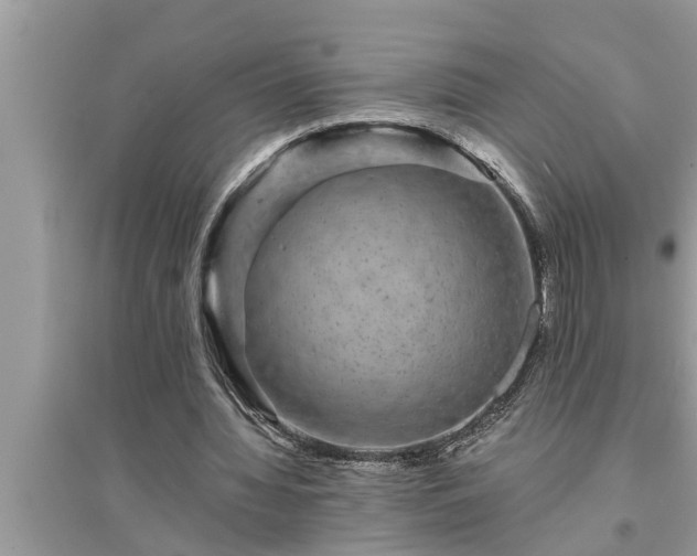 X0000095530436200712211329