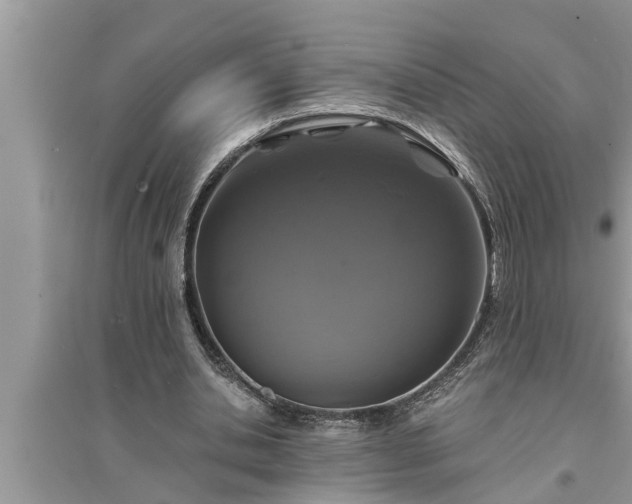 X0000095530438200712211329