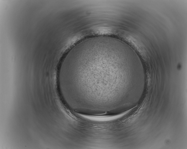 X0000095530447200712211329
