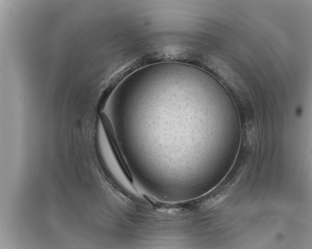 X0000095530450200712211329