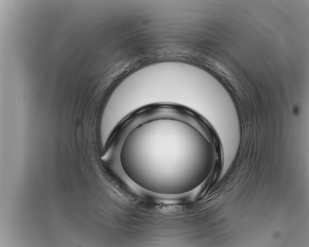 X0000095530452200712211329
