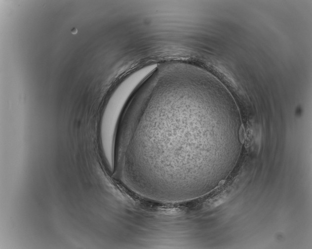X0000095530454200712211329