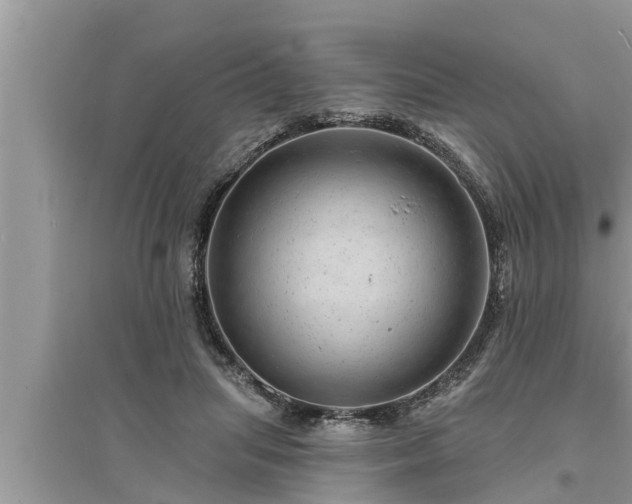 X0000095530455200712211329